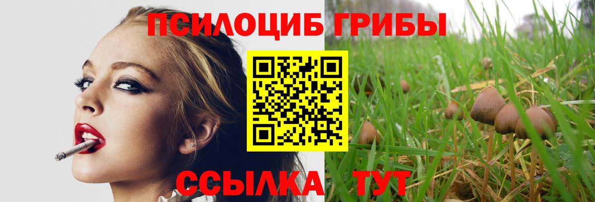 Гудермес  даркнет сайт  Вход с VPN  Псилоцибиновые грибы Cubensis  Галлюциногенные грибы MAGIC MUSHROOMS 